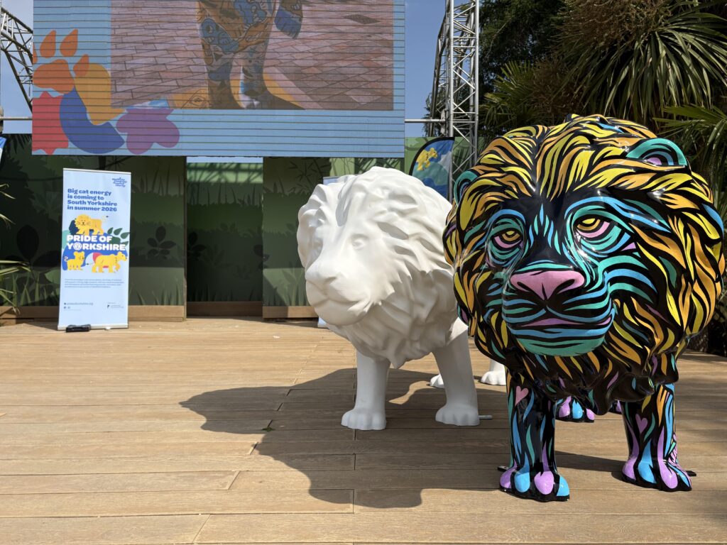 A painted lion sculpture. Designed and painted by Tom Newell.