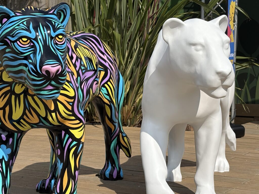 An image of two lion sculptures. One is painted in vibrant colours - pink, purple, orange, blue and yellow. The other is white and blank... the perfect canvas for an artist to get creative!
