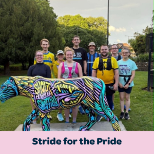 A photograph of a group of runners as they stand behind a brightly painted lioness sculpture. It's summer and the sun is setting, and they stand in a park. In front of them, a banner reads 'Stride for the Pride'