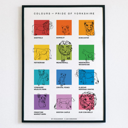 A framed print showing a rainbow of colour swatches, each with a line drawing of a lion, lioness or cub.